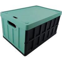 Vielseitige Truhe Tontarelli 46 Liter Kunststoff modern