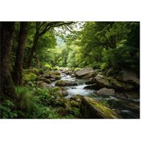 Papier peint mural forêt nature 3D ruisseau intissé grand format design intérieur salon chambre pas cher 400x280 cm