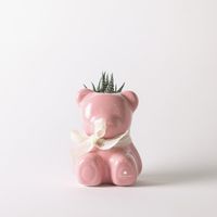 Pianta grassa in vaso ceramico orsetto artigianale Made in Italy Orsetto - Rosa