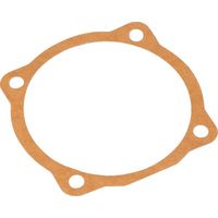 Dichtung M29100107R MASCHIO M29100107R