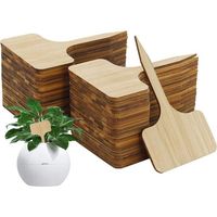 100 placas de madera para plantas con diseño en T, resistentes a UV, reutilizables y duraderas, ideales para identificar vegetales, flores, plántulas y nombres de semillas en huertos