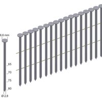 Prebena 4.500x Clous en rouleau (tête ronde) nus tige lisse 75 mm - CNW28/75BK