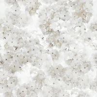 Muriva Apple Blossom Natural Wallpaper Floral Flowers Stylish Feature Wall