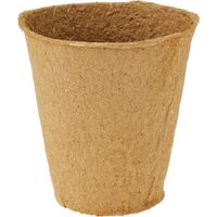 Dehner Impianto Piante, Rotondo, Diametro 8 cm, Confezione da 48