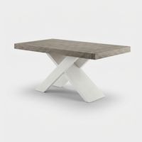 Table Ă manger extensible 12 personnes pieds blancs 160/260x90 Roma - Gris