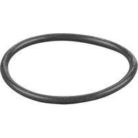 Rems O-Ring 060365