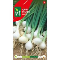 Oignon Barletta - Ca. 4 gr (Livraison Gratuite)