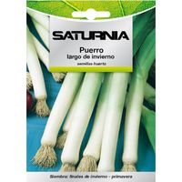 Semi di porro invernale lungo (3 grammi)