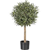 ARBOL OLIVO