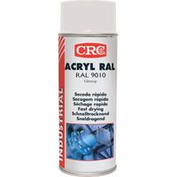 Acrilico Ral 9010 Aerosol 400Ml (6)