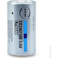 Pile lithium ER34615M D 3.6V 14.5Ah – Technologie lithium – Pour outils électroportatifs – Longue durée de vie – Compatible avec appareils spécifiques – Enix Energies