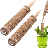 Lot de 2 Piliers de Support en Fibre de Coco pour Plantes Grimpantes – 30 cm Support pour Pothos, Monstera et Plantes d’Intérieur