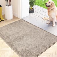 Zerbino antipolvere, antiscivolo, lavabile in lavatrice, con morbide microfibre assorbenti, ideale per cani, ingresso, porta e corridoio, beige, 60 x 90 cm