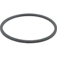 Dichtring AGRIA AGW02909