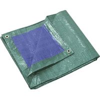 telone di protezione rinforzati 140 gr m2 6x10 m - ribimex prb14006x10.