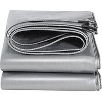 Bâche imperméable et résistante en polyéthylène pour extérieur,épaisseur de 160 g/m²,résistante au Gel et aux UV,pour Jardin,tonnelle,Camping,Meubles,abri de Jardin