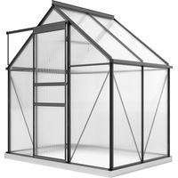 Serra Policarbonato Aluminium Porta Battente Finestra Tetto 192,5x131x200 cm Grigio