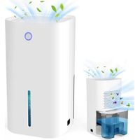 Deshumidificateur d air, Mini Déshumidificateur D'intérieur, Anti Humidité Maison Absorbeur D'humidité Electrique