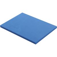 Planche à découper PEHD 500 Bleu 40x30x2 cm - Matériel CHR Pro