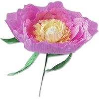 Sizzix Thinlits Die Set 5PK Wild Peony di Lisa Jones, 664926, Multicolor, Taglia unica