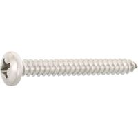 DIN7981C 5.5x 45 PH-Kreuzschlitz Edelstahl A2 Linsen-Blechschraube ISO7049