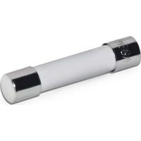 Atmos Sicherung 6,3 A für Kesselschaltfeld Atmos Pelletkessel S0200 709.020.0