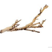 Ramas de vid Exo Terra Forest Branch