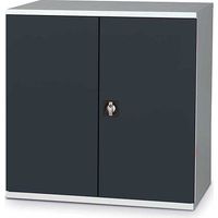 Armoire d'atelier à portes battantes - Dim 1000x665x1000mm - Portes RAL 5015 - W030020004-GCBI