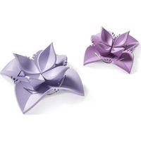 Betty Bossi set 2 pezzi macchina plastica ravioli e dumpling