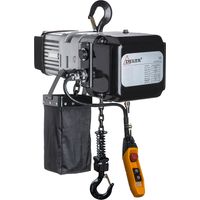 DELTA Elektrischer Kettenzug Typ DMS - 230V - Tragkraft 1,0t Hubhöhe 3m