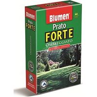 PRATO FORTE OMBREGGIATO 500GR