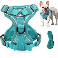 Harnais réfléchissant pour chien Harnais anti-traction pour chien Ensemble harnais et laisse Harnais rembourré doux et respirant pour petits, moyens et grands chiens (S)
