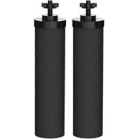 Élément filtrant Berkey Black Natural pour la purification de l'eau (2 pièces)