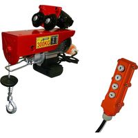 Varan Motors - var-PA300C Polipasto eléctrico movil de 230V 300KG 600W con Mando