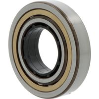 FAG Zylinderrollenlager N219 -E-XL-TVP2 Innen-Ø 95 mm Außen-Ø 170 mmBreite32 mm