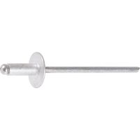 Rivet tête large - Diamètre 4 mm - 10 mm - Boîte de 500 - Rifix
