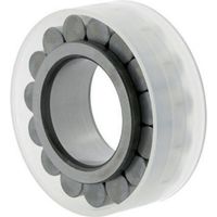 Cuscinetto a rulli cilindrici RSL185014. 70mm ext. 100.28mm largo 54mm Ina