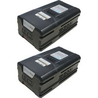 2x Hochleistungs Li-Ion Akku für 80V Geräte der Greenworks Pro Reihe / 80V, 4000mAh - ersetzt G80B4, 2901307 / Hochleistungs Ersatz Akku