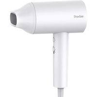 ShowSee Anion Hair Dryer Negative Ion Hair Quick Drying DC Motor Hair Dryer with 2 Speed Temperat