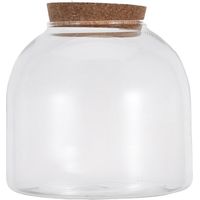 Moos Terrarium Glas vase en verre pour culture hydrologique