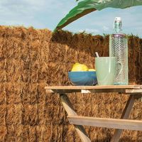 Seto natural coconatur catral 1 x 3 m