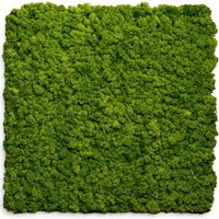 Pannelli fonoassorbenti decorativi effetto muschio sintetico, isolamento acustico parete 60x60 set 2 pezzi - Divina Home