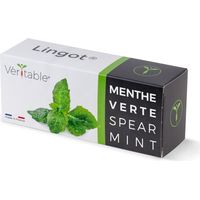 LINGOT MENTHE VERTE