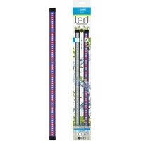 Marshall CLA60 Ciano LED-Rampe schwarz wasserdicht Aquarium