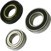 Ersatzteil - Original-Lager-Kit - - ARISTON HOTPOINT, INDESIT, WHIRLPOOL