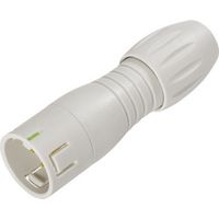binder 99 9105 400 03 Subminiatur-Rundsteckverbinder Stecker, gerade Gesamtpolzahl: 3 1 St.