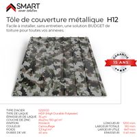 Tôle bac acier - Toiture - Couverture - Pack de 6 tôles H12 Coloris Camouflage Printech Dimensions 1200x910x0.40 mm