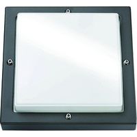 SG LIGHTING 623188 LAMPE DE CULTURE LED 10 W A + BASSI 3000 K 1LED GRAPHITE CLASSE D'EFFICACITÉ ÉNERGÉTIQUE: A + 580LM KST OPA