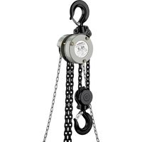 Wiltec Palan à chaîne manuel VSK-5 – Capacité de levage 5 t – Hauteur de levage 3 m – Chaîne de 5 m – Palan mécanique de levage pour atelier