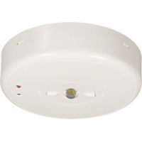 B-SAFETY BL550038 Sicherheitsleuchte Deckenaufbaumontage